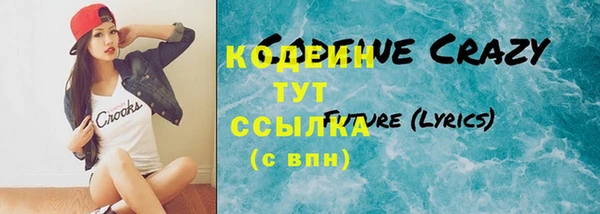 МДПВ Инсар